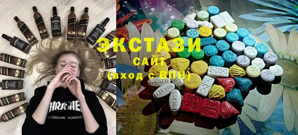 ECSTASY Богданович