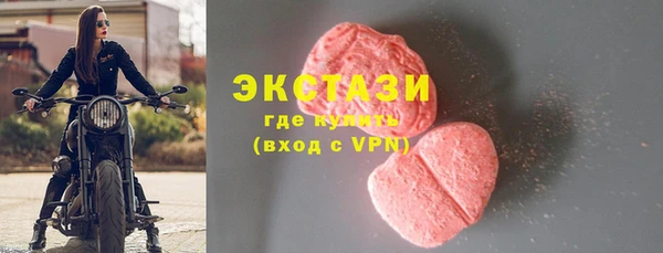 ECSTASY Богданович