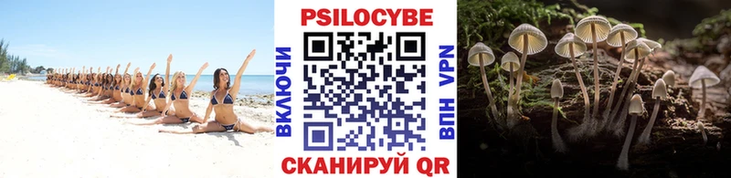 Псилоцибиновые грибы Cubensis  Новое Девяткино 